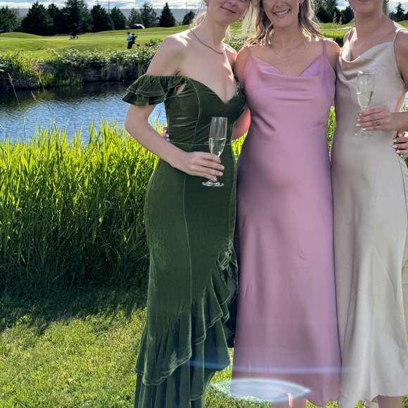 Tularosa velvet green dress - Picture 6 of 9